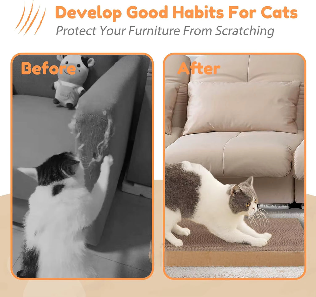 5-Layer Cardboard Cat Scratcher & Lounge Bed — Durable Furniture Protector