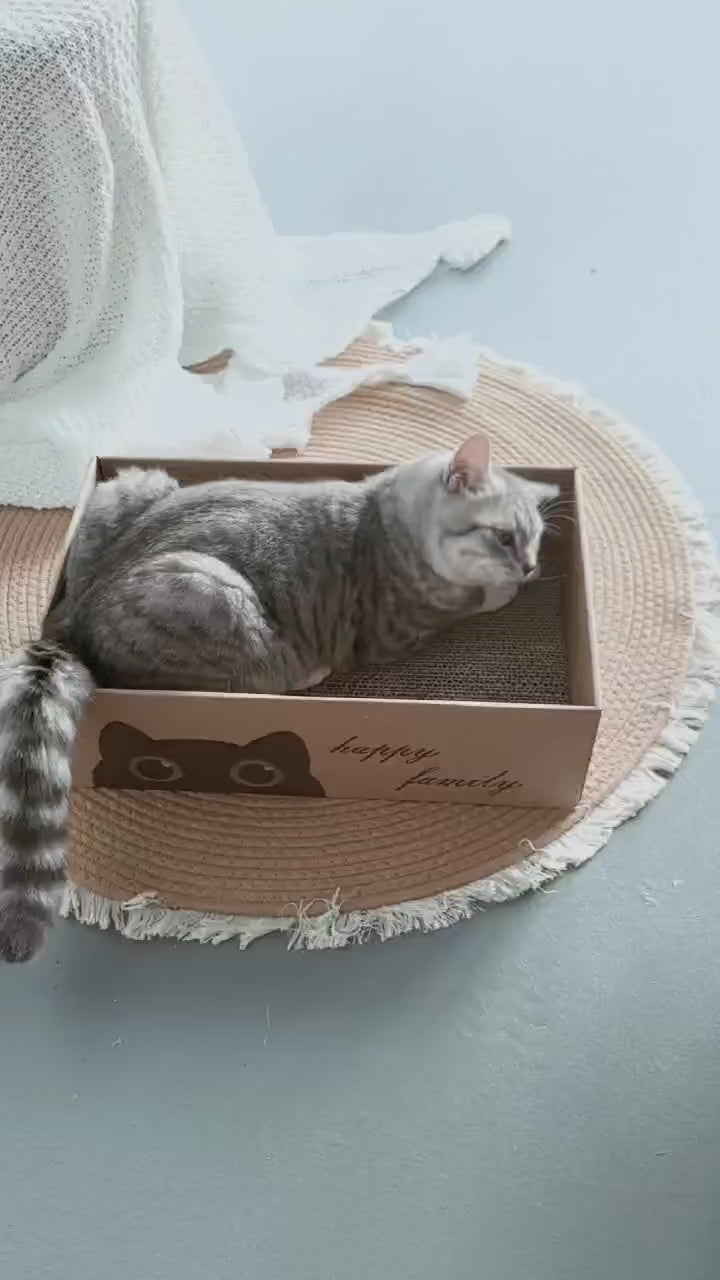 5-Layer Cardboard Cat Scratcher & Lounge Bed — Durable Furniture Protector